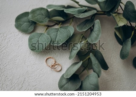 Wedding gold rings of the bride and groom. Nearby lies a green sprig of eucalyptus leaves. Wedding, holiday, engagement.