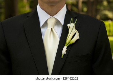 Wedding Groom With Corsage And Tie