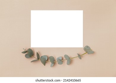 Wedding Invitation Or Greeting Card Mockup. Blank White Card 5x7 With A Sprig Of Eucalyptus On A Beige Background.