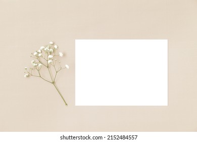 Wedding Invitation Or Greeting Card Mockup. Blank White Card 5x7 With A White Flower On A Beige Background.