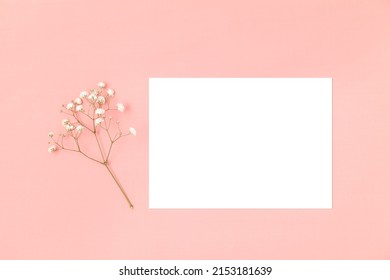 Wedding Invitation Or Greeting Card Mockup. Blank White Card 5x7 With A White Flower On A Pink Background.