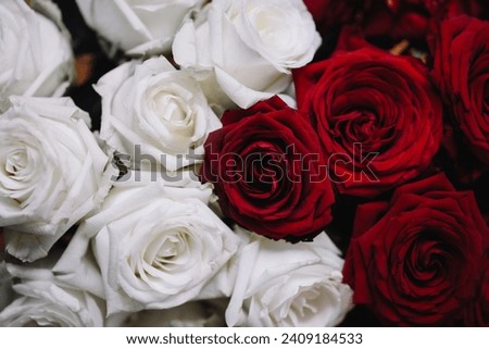 Wedding, party, Valentine's Day, rose bouquet, red roses, white roses, bouquet, flowers, Rose,