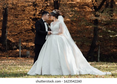 Wedding photo. Couple in love. Stylish and beautiful. Princess's dress. Lush white dress and veil. Bride is a brunette. The groom in a black suit. A couple is walking. Autumn wedding