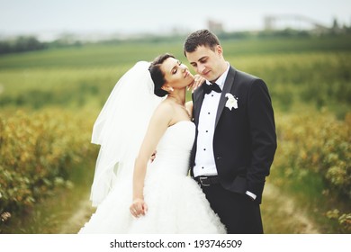 Wedding portrait of a young couple, groom and bride posing