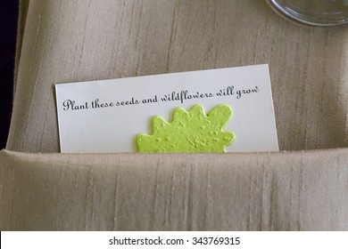 Party Favor Plants Images Stock Photos Vectors Shutterstock