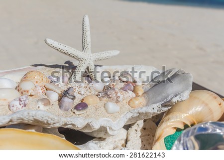 wedding ring on sea shell as wedding decoration details