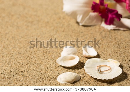 Wedding ring in a shell