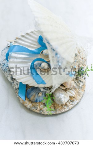 Wedding ring in a shell shell rings wedding