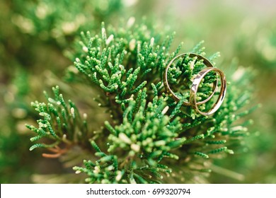 9,610 Single stone rings Images, Stock Photos & Vectors | Shutterstock