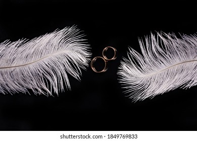 Wedding Rings Floating With Feathers