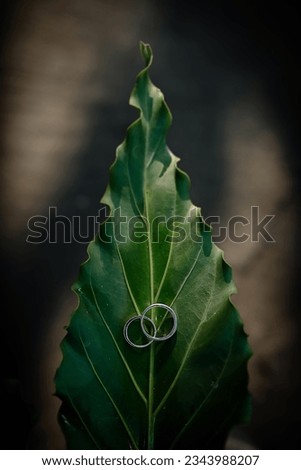 Wedding rings green leaf background