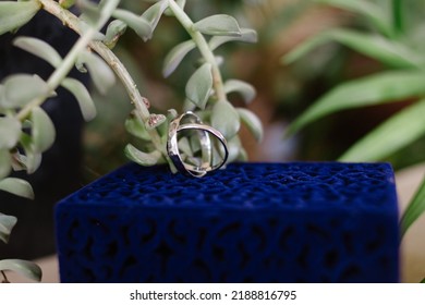 Wedding Rings Near Succulent. Rustic Wedding Details. Blue Velvet Box And White Gold Wedding Bands.