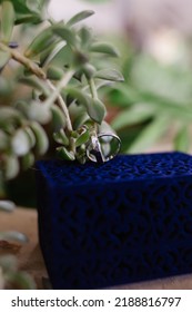 Wedding Rings Near Succulent. Rustic Wedding Details. Blue Velvet Box And White Gold Wedding Bands.