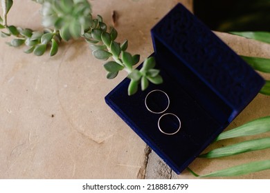 Wedding Rings Near Succulent. Rustic Wedding Details. Blue Velvet Box And White Gold Wedding Bands.