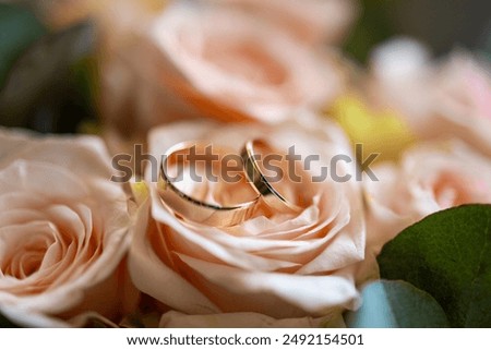 Wedding rings on the wedding bouquet of pink roses.
