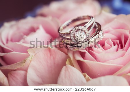 wedding rings on the rose