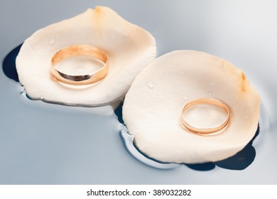 Wedding Rings On The Rose Petals Floating In Water Macro