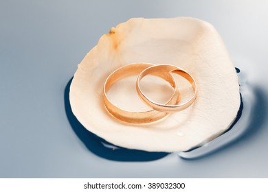 Wedding Rings On The Rose Petals Floating In Water Macro