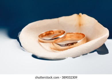 Wedding Rings On The Rose Petals Floating In Water Macro