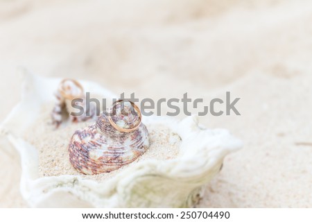 wedding rings on sand and shell, outdorr beach wedding
