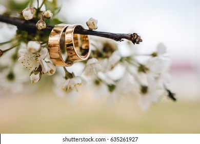 Wedding rings on a tree branch