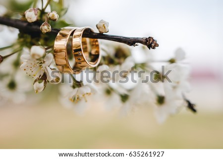 Wedding rings on a tree branch