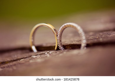 Wedding Rings On Wood