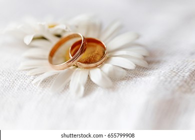wedding rings with wildflowers daisies. The concept of weddings and proposals of marriage to nature