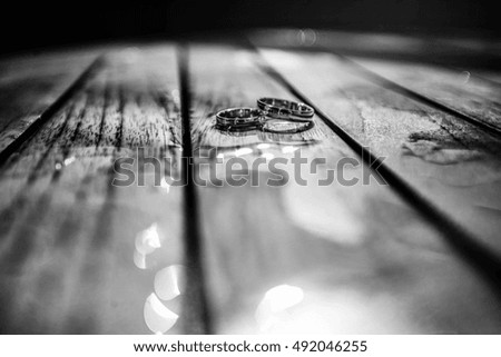 Similar – Image, Stock Photo froggy Animal Amphibian