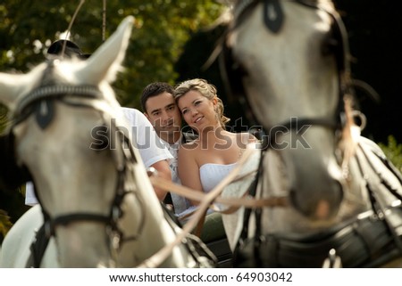 wedding series, carriage