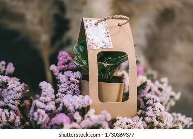 Wedding Souvenirs ,Wedding Gift , Thank You Gift , Ornamental Plant Pot In Paper Kraft  Package On Purple Flowers And Blur Background