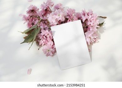 Wedding Spring Styled Stock Photo. Feminine Desktop. Blossoming Pink Japanese Cherry Tree, Sakura Branch. Blank Greeting Card, Invitation Mockup In Sunlight. White Dappled Table Background, Top View.