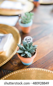 Wedding Succulent Decorations