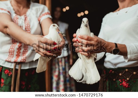 Wedding tradition in Poland. Two white pigeons in hands just before beeing set free in the air by bride and groom.
