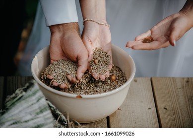 A wedding tradition of sorting wheat, money and nuts to predict who is going to spend the money in marriage - Shutterstock ID 1661099026