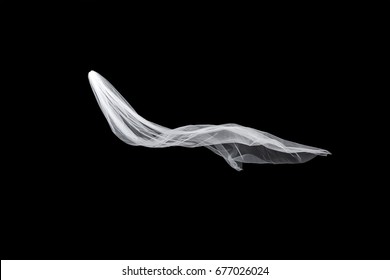 Wedding White Bridal Veil Isolated On The Black Background. Veil Flutters In The Wind