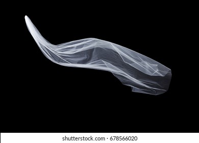 Wedding White Bridal Veil Isolated On The Black Background 