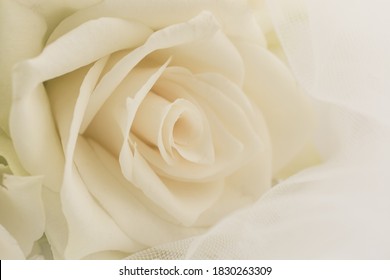 Wedding White Bridal Veil And White  Rose Flower Bouquet 