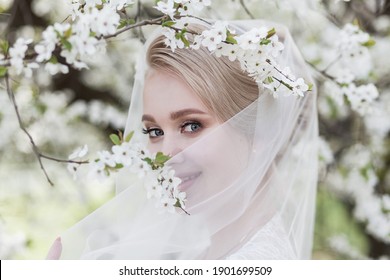 Wedding. Young beautiful bride in white dress and veil standing between blossom trees
