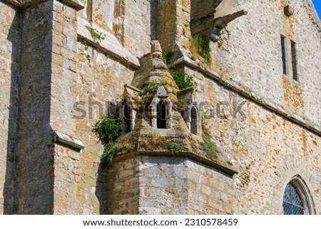 Weed growing on the Collegiate Church of Our Lady of the Assumption in the rural town of Crécy la Chapelle in the French department of Seine et Marne in Paris Region