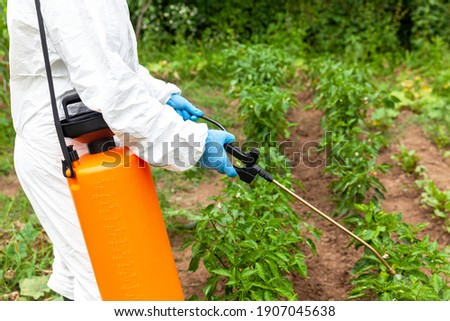 Weed killer herbicide glyphosate spraying. Non-organic vegetables.
