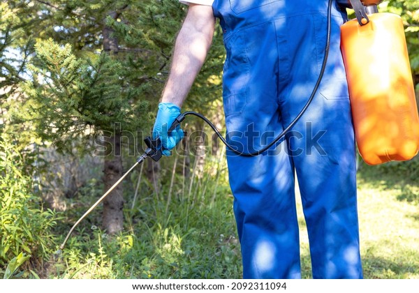 Weed\
killer herbicide glyphosate spraying in the\
garden