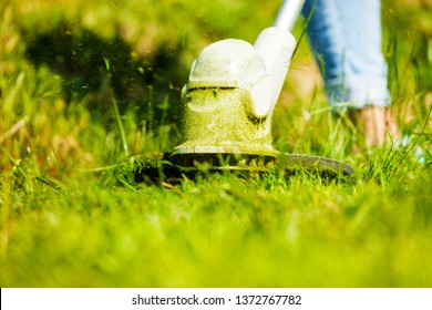 Weed Wacker Blade Cutting Green Grass Leaves