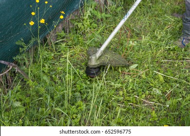 Weed Whacker In Action, Cutting The Long Grass