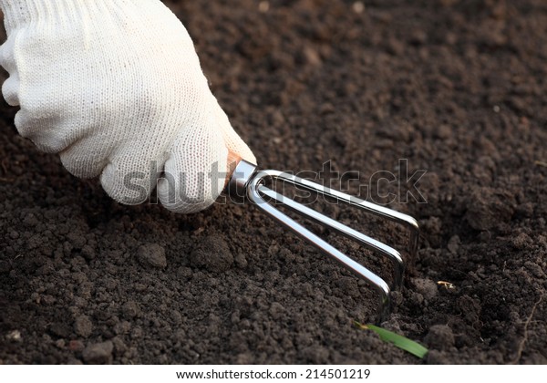 Weeding. Treatment of the ground with a handled\
garden cultivator.\
Closeup.