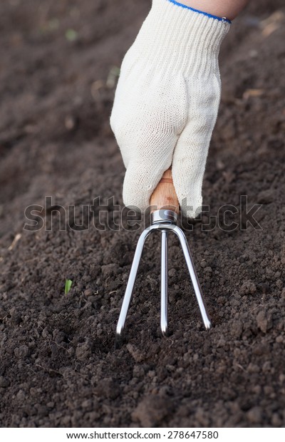 Weeding. Treatment of the ground with a handled\
garden claw. Closeup.