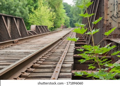 Weeds on abandoned railroad bridge - Powered by Shutterstock