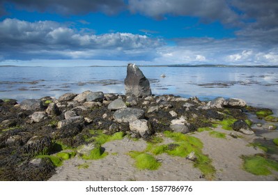 Weedy shoreline near the Gigha ferry pier at Tayinloan on the Kintyre peninsula Scotland UK