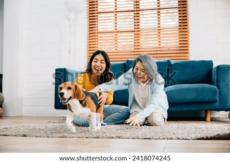 Weekend leisure activity at home, A woman and her mother share glad moments with their Beagle dog, running together in the living room. Their friendship is heartwarming. pet love
