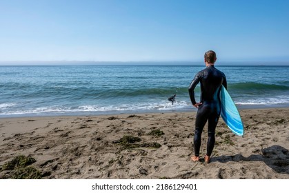 Weekend Surfing In Marin County